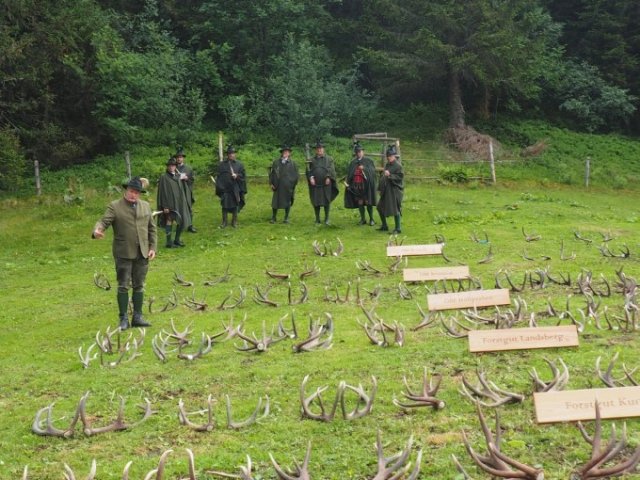 201907 - Abwurfstangenschau Rauschalm